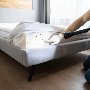 Bed Bug  Services